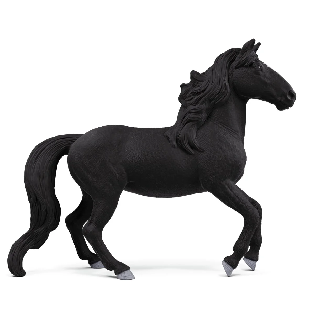 Lusitano Stallion - Image 3