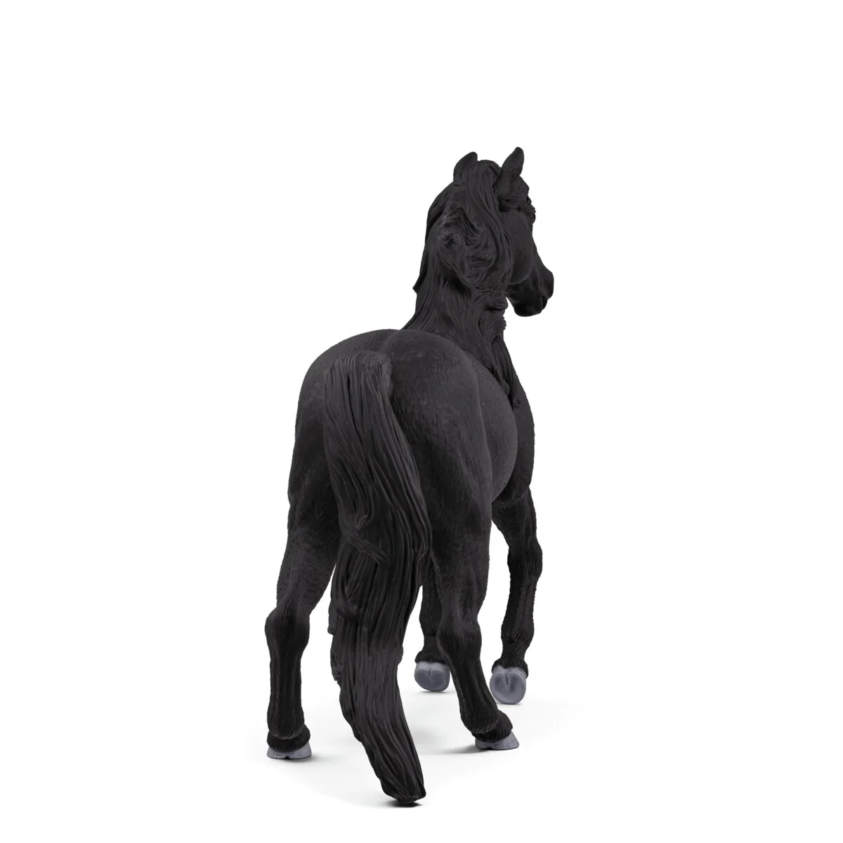 Lusitano Stallion - Image 4
