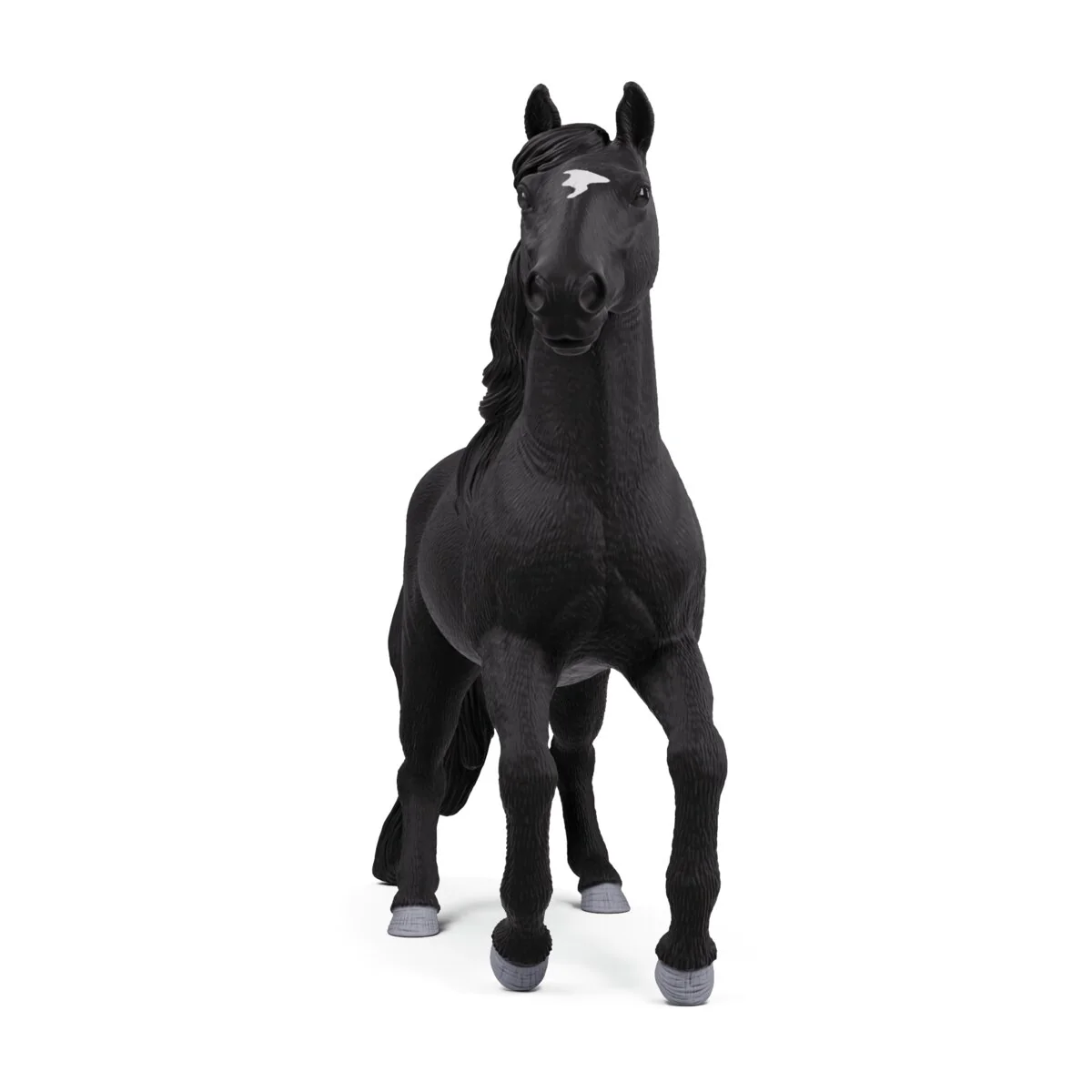 Lusitano Stallion - Image 5