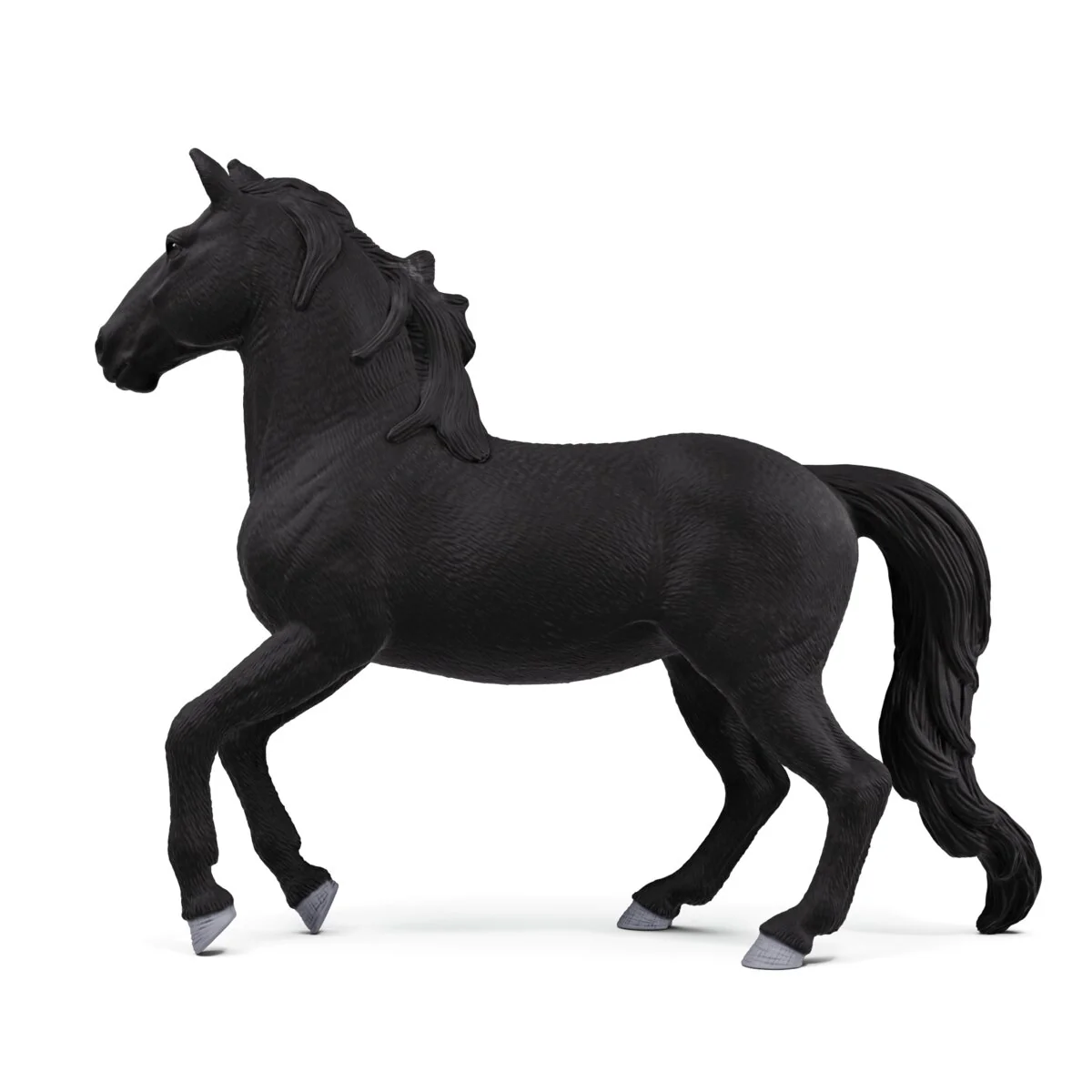 Lusitano Stallion - Image 6