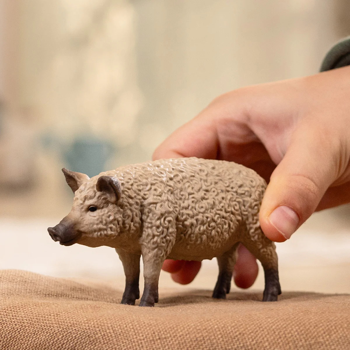 Mangalica Pig - Image 2