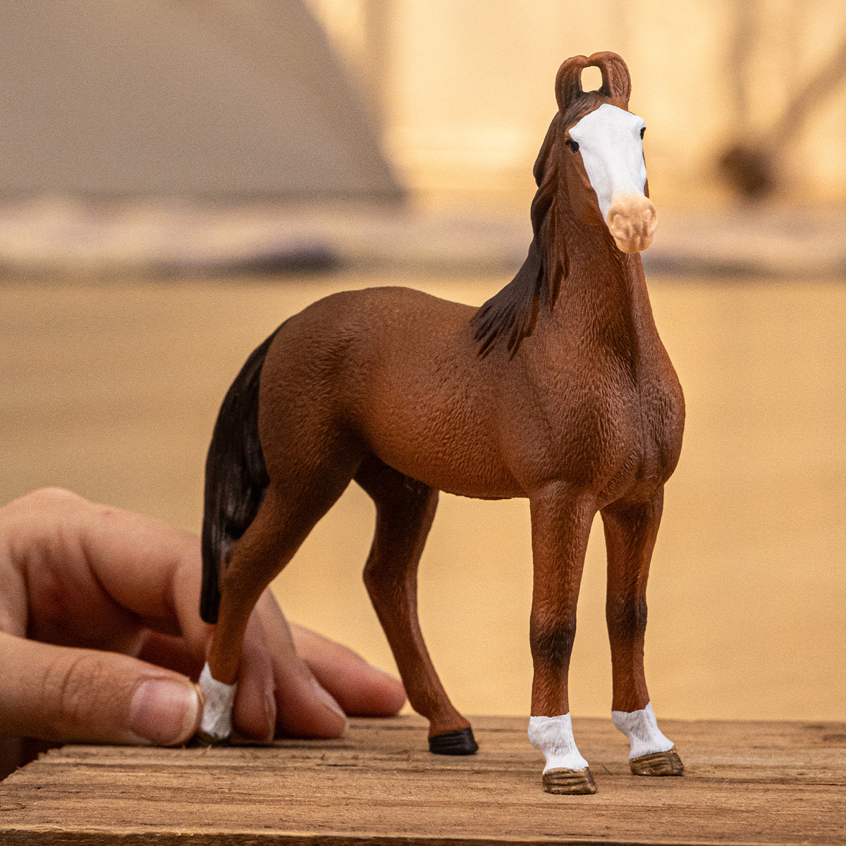 Marwari Mare - Image 2