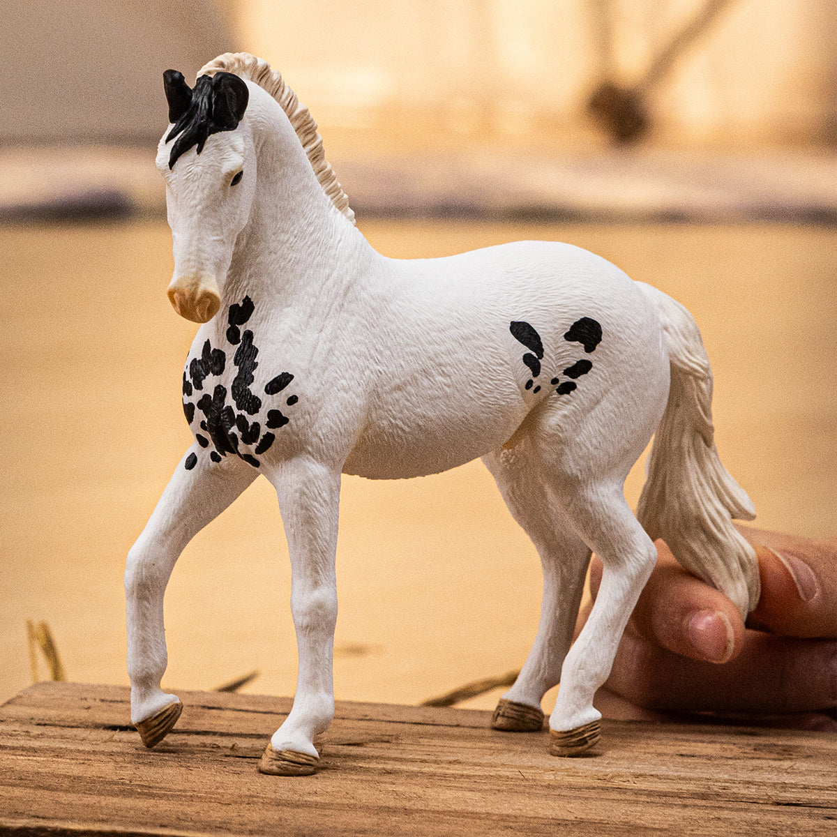 Marwari Stallion - Image 2