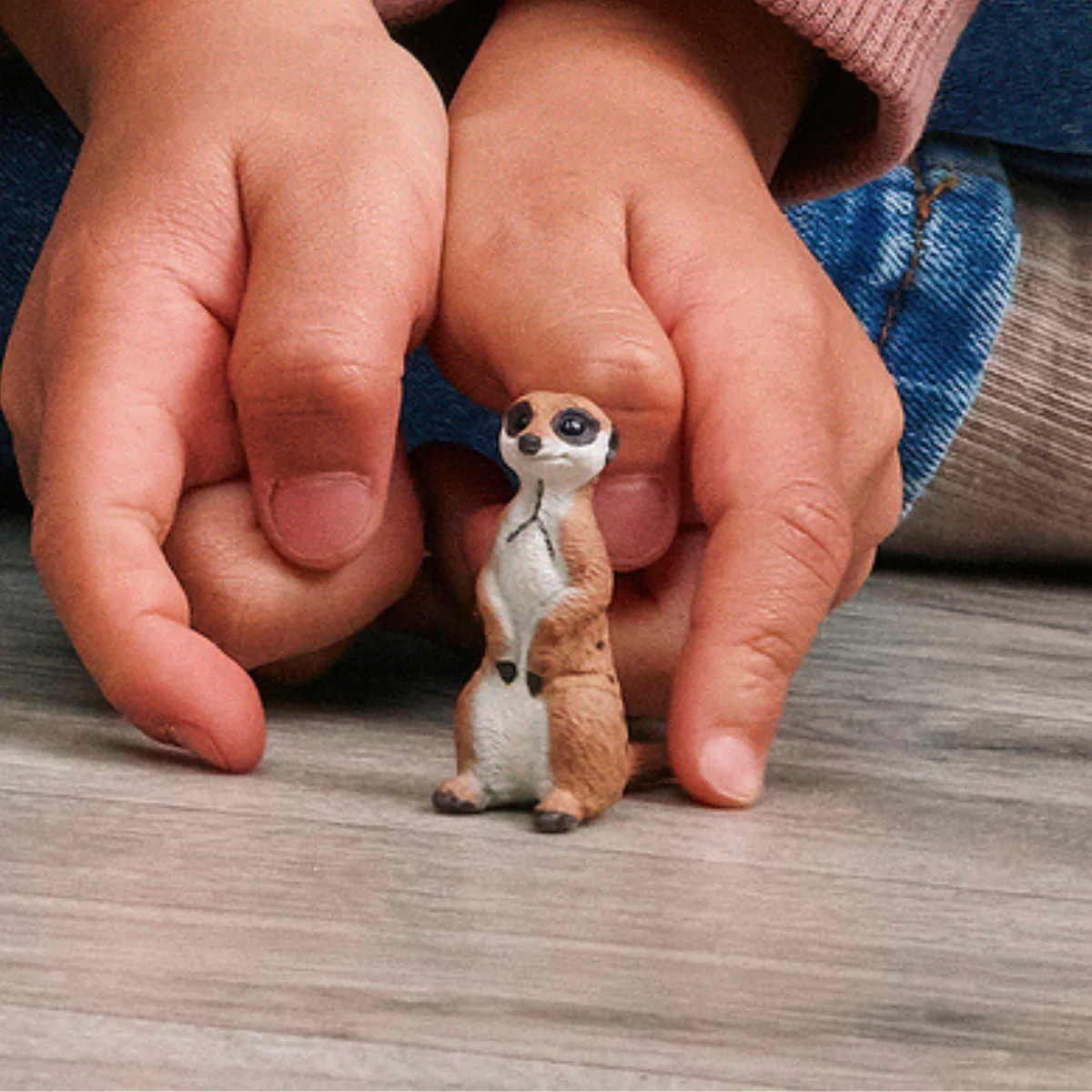 Meerkat - Image 2