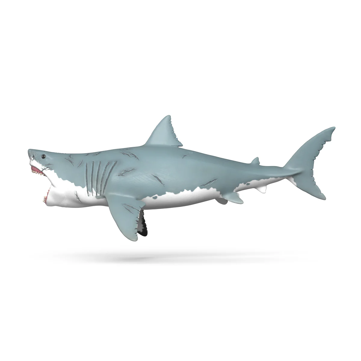 Megalodon - Image 7