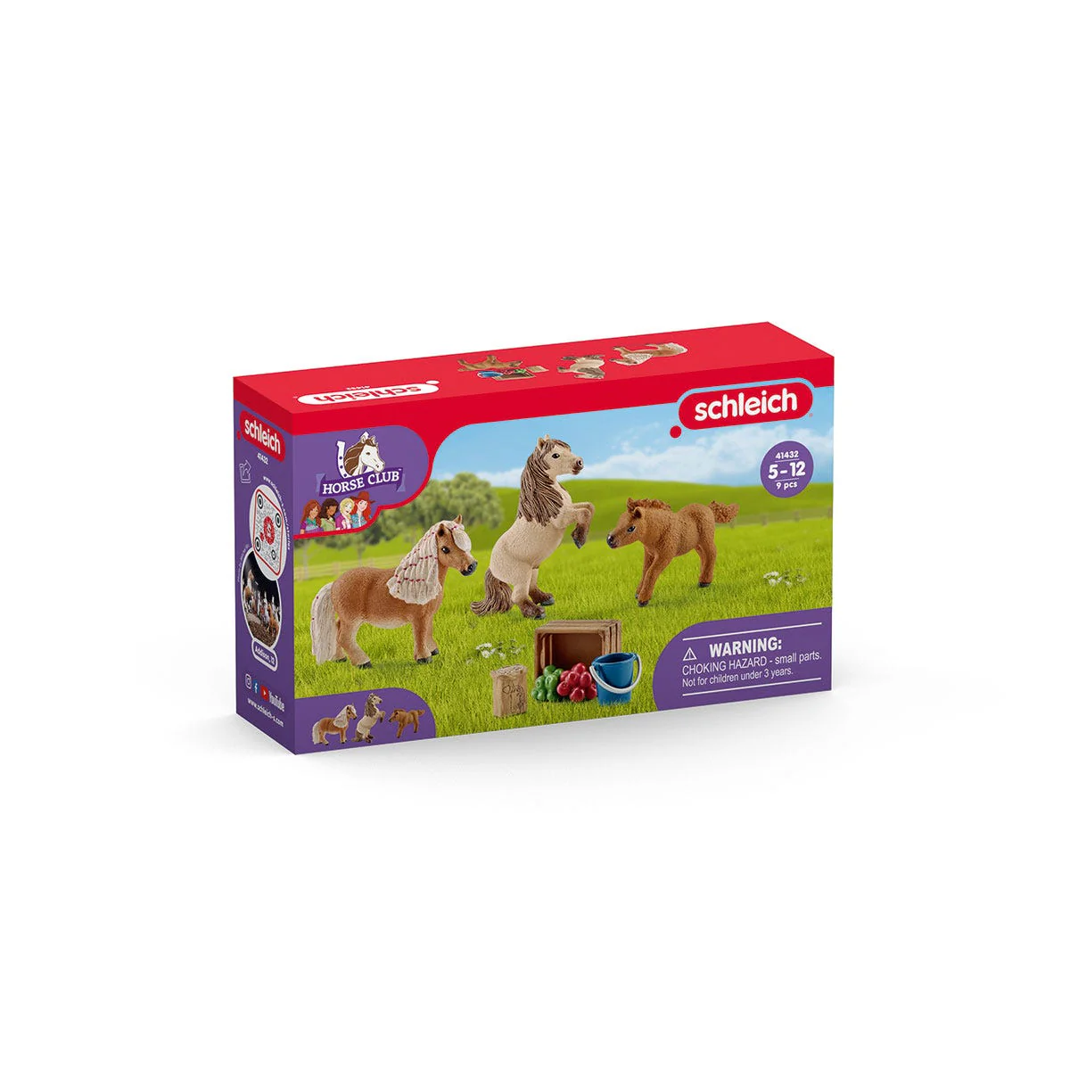 Miniature Shetland pony family - Image 2