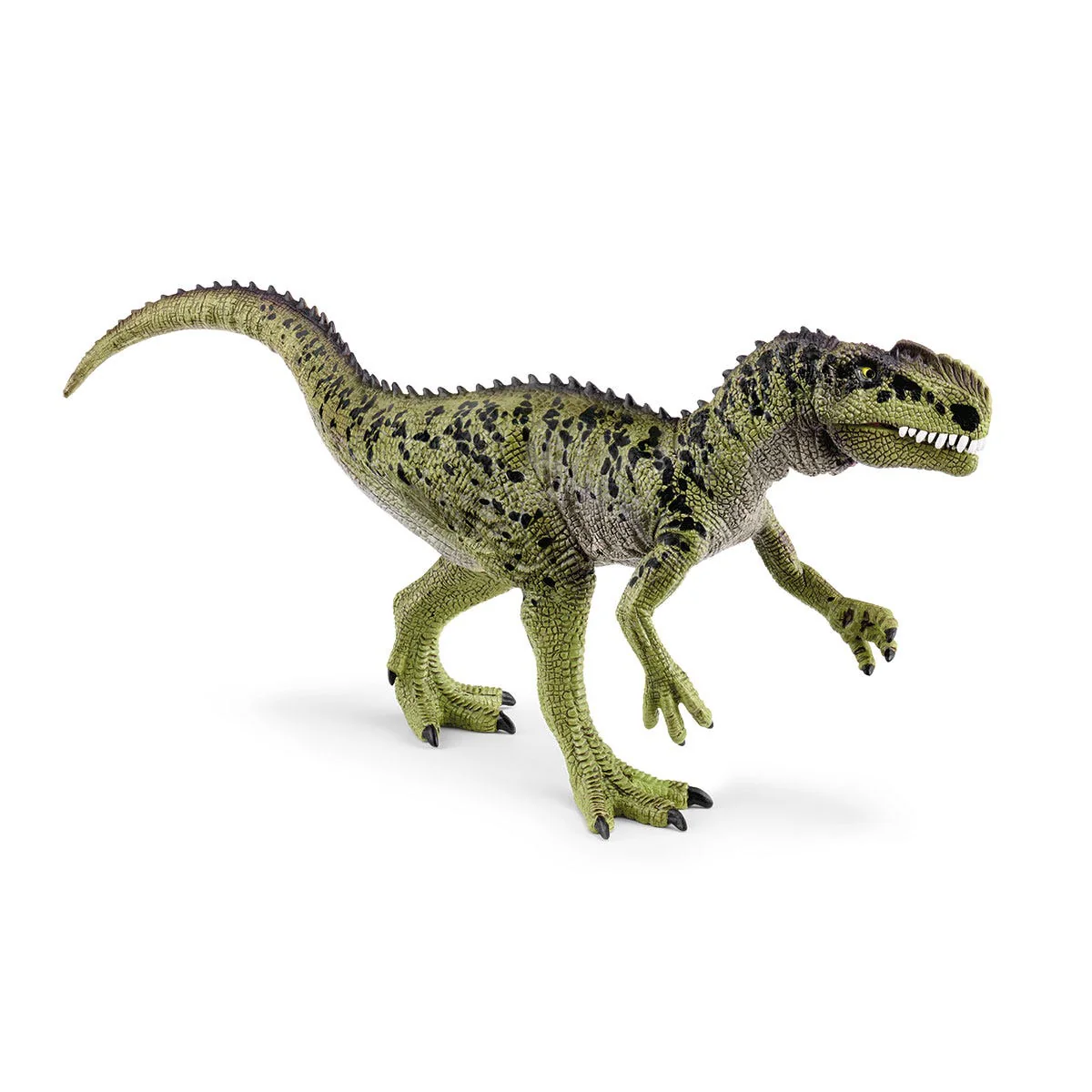 Monolophosaurus - Image 3