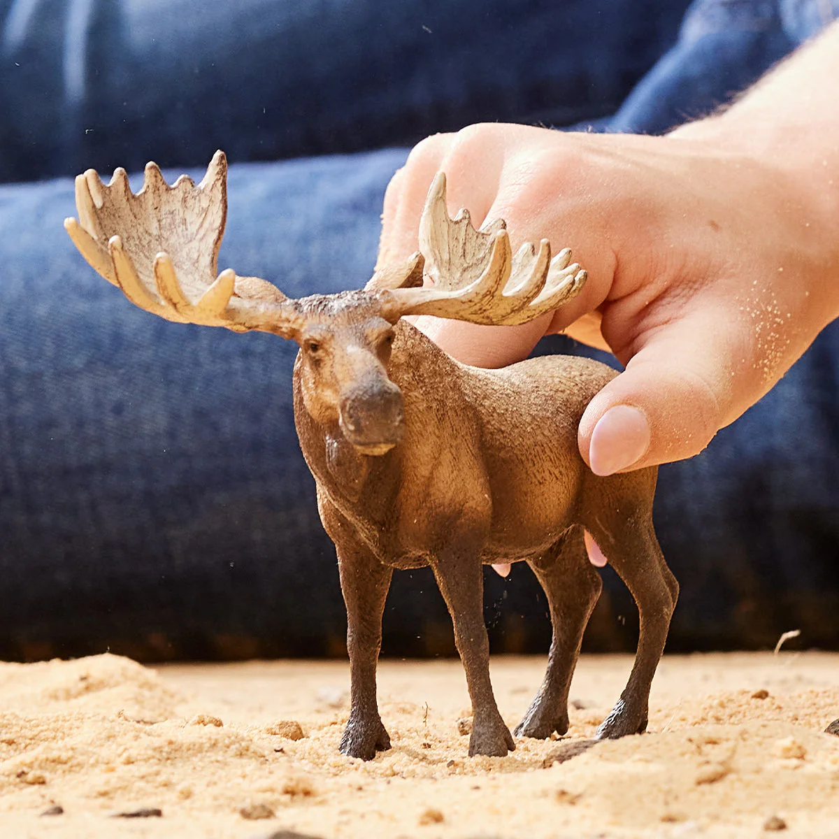Moose bull - Image 2