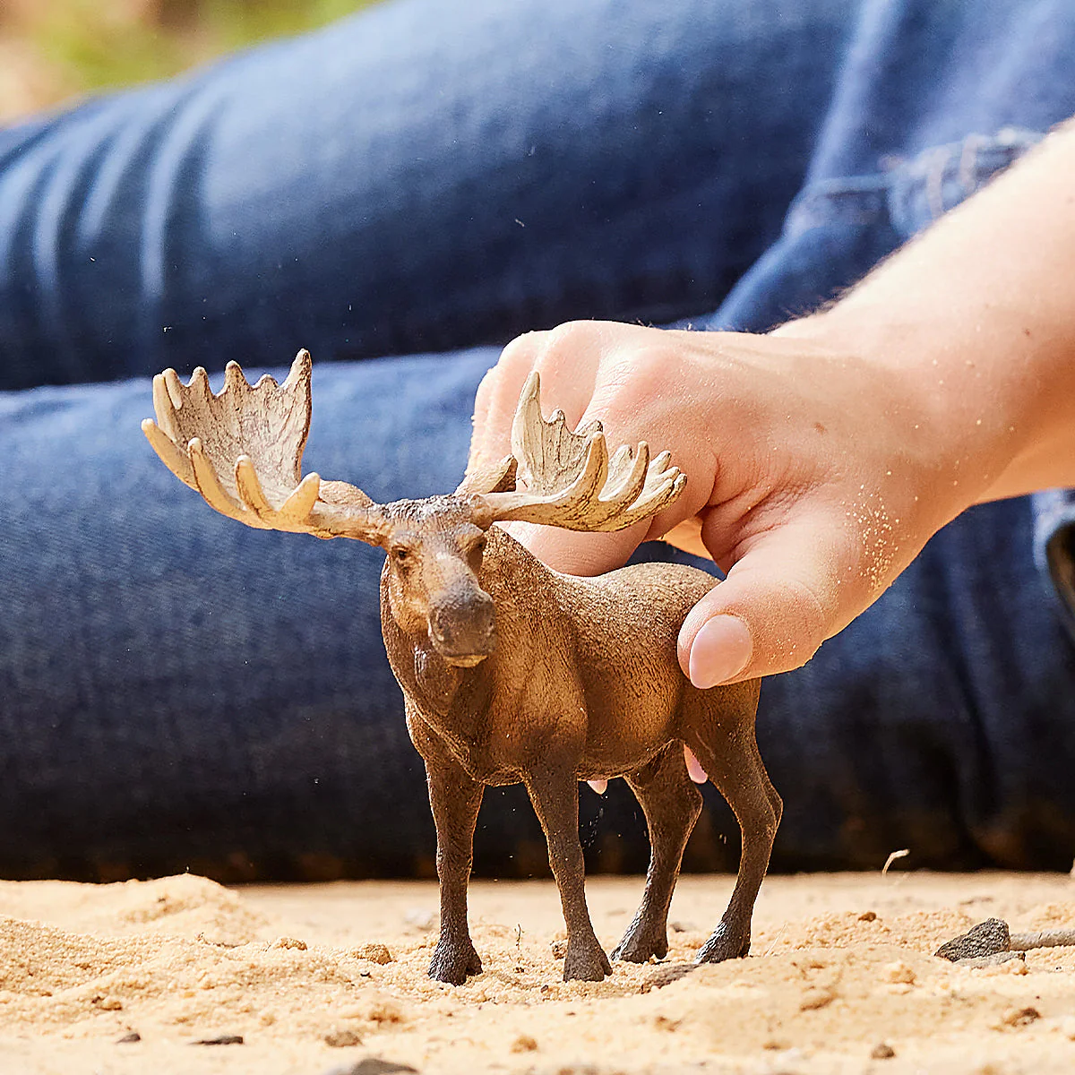 Moose bull - Image 3