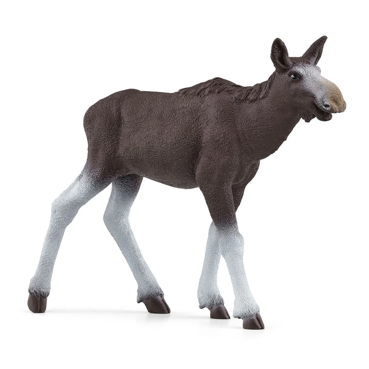 Moose Family - Image 4