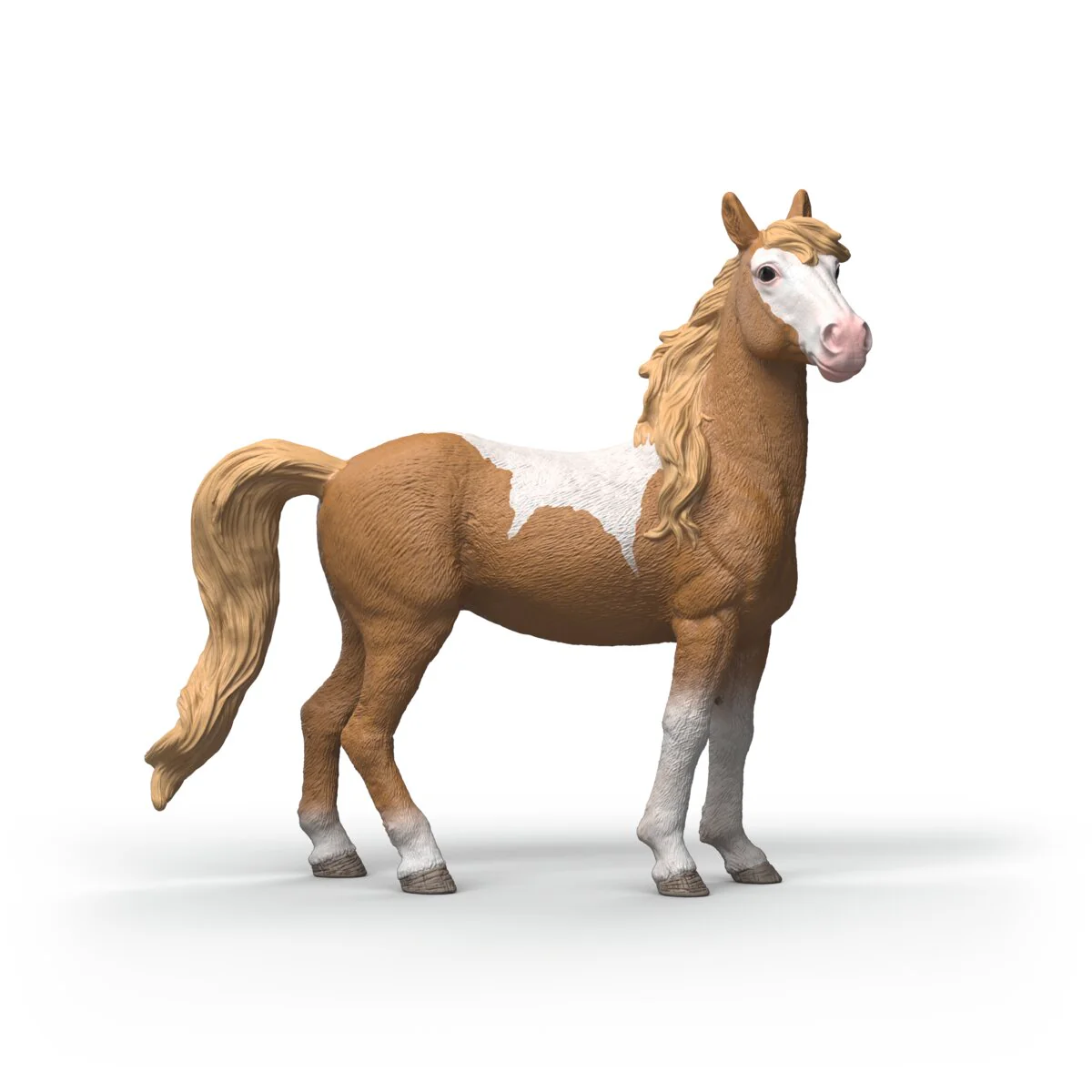 Mustang Mare - Image 4