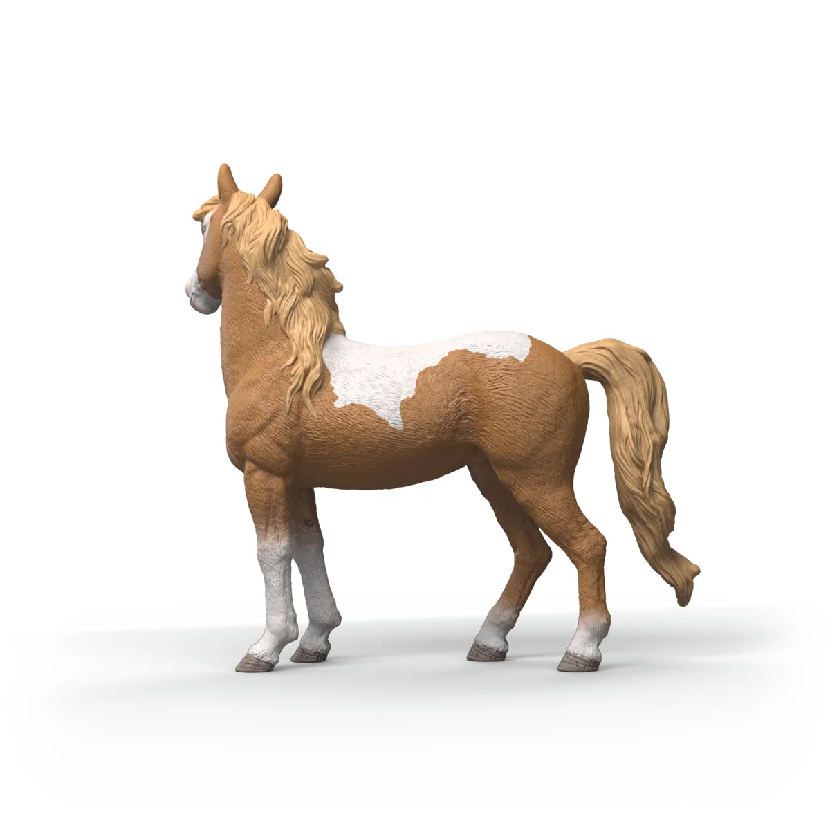 Mustang Mare - Image 5