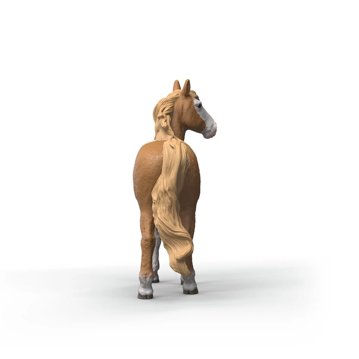 Mustang Mare - Image 6