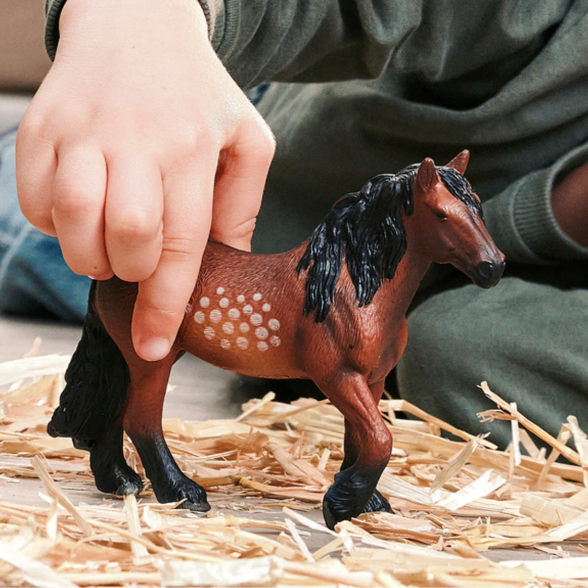 North Swedish Cold Blooded Mare - Image 2