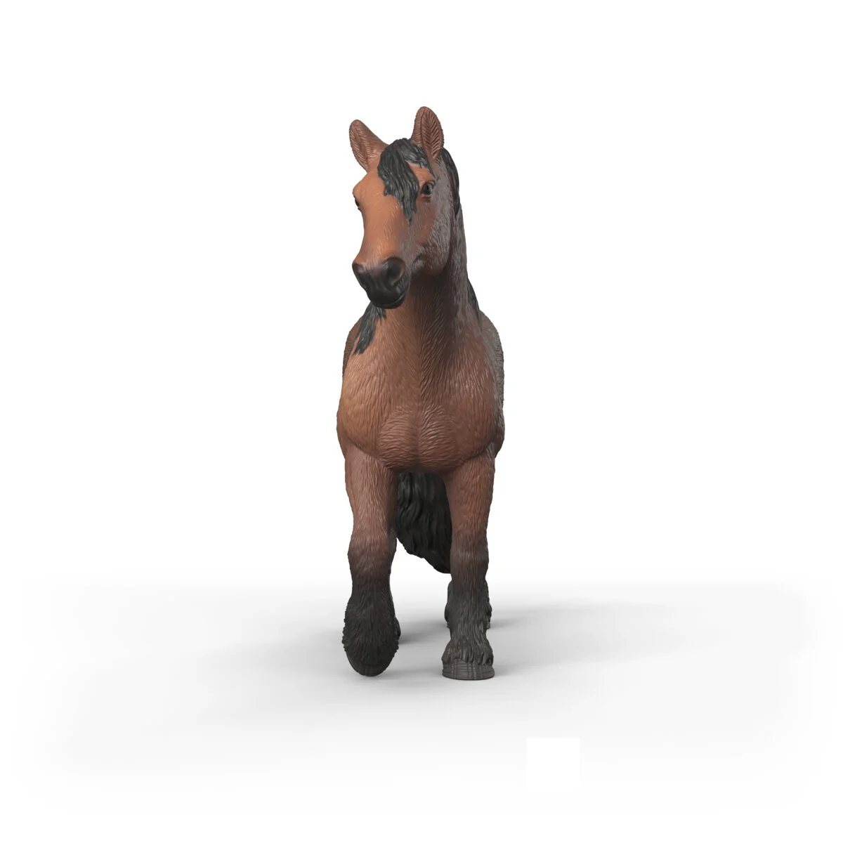 North Swedish Cold Blooded Mare - Image 3