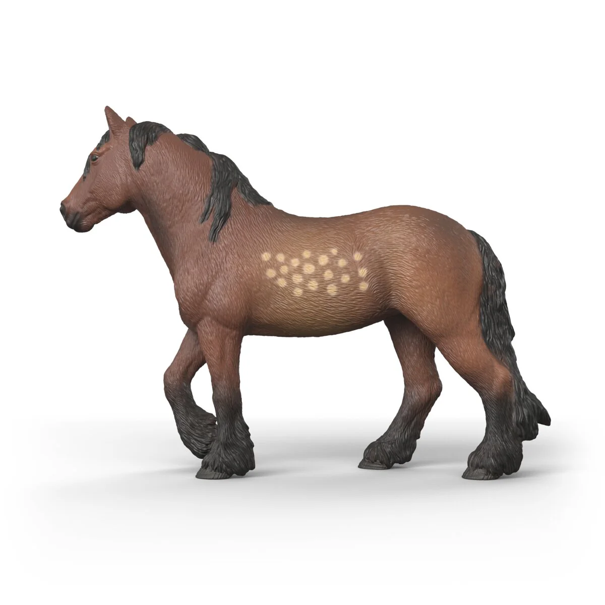 North Swedish Cold Blooded Mare - Image 4