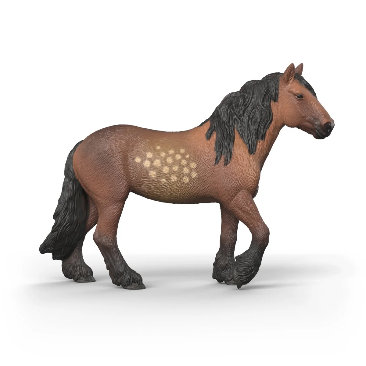 North Swedish Cold Blooded Mare - Image 6
