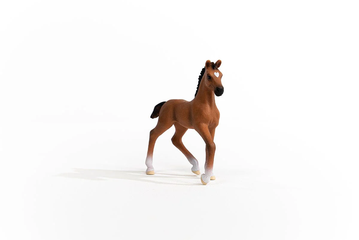 Oldenburger Foal - Image 5