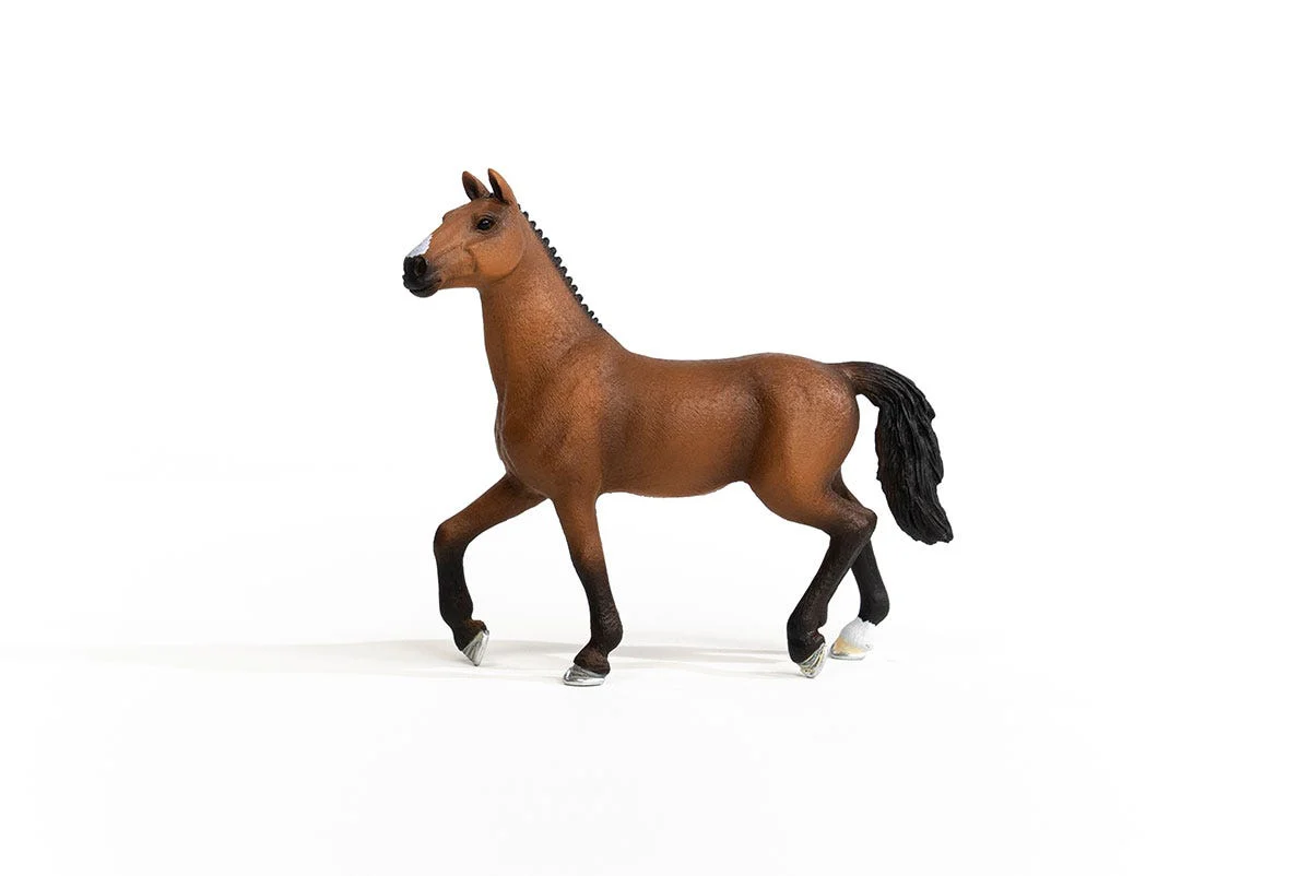 Oldenburger Mare - Image 4