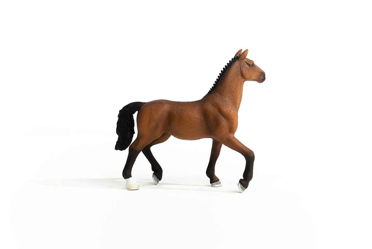 Oldenburger Mare - Image 6