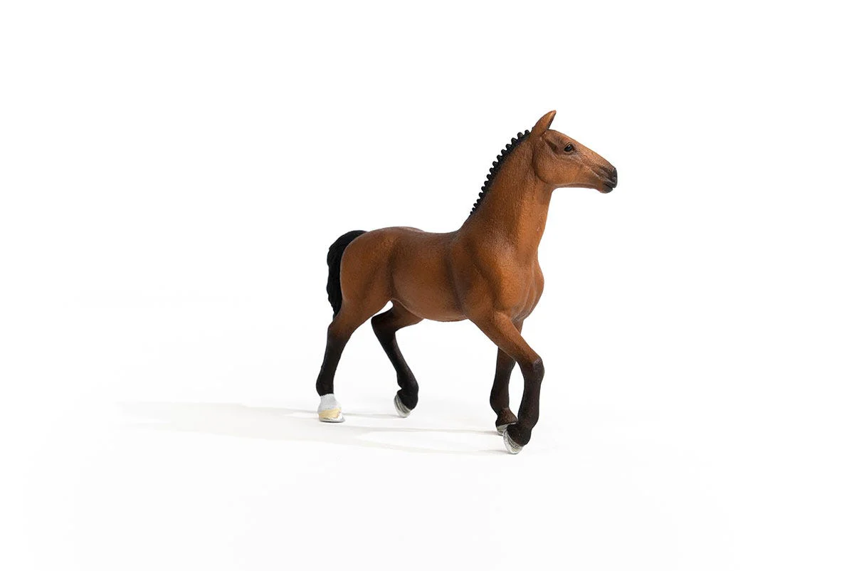 Oldenburger Mare - Image 7