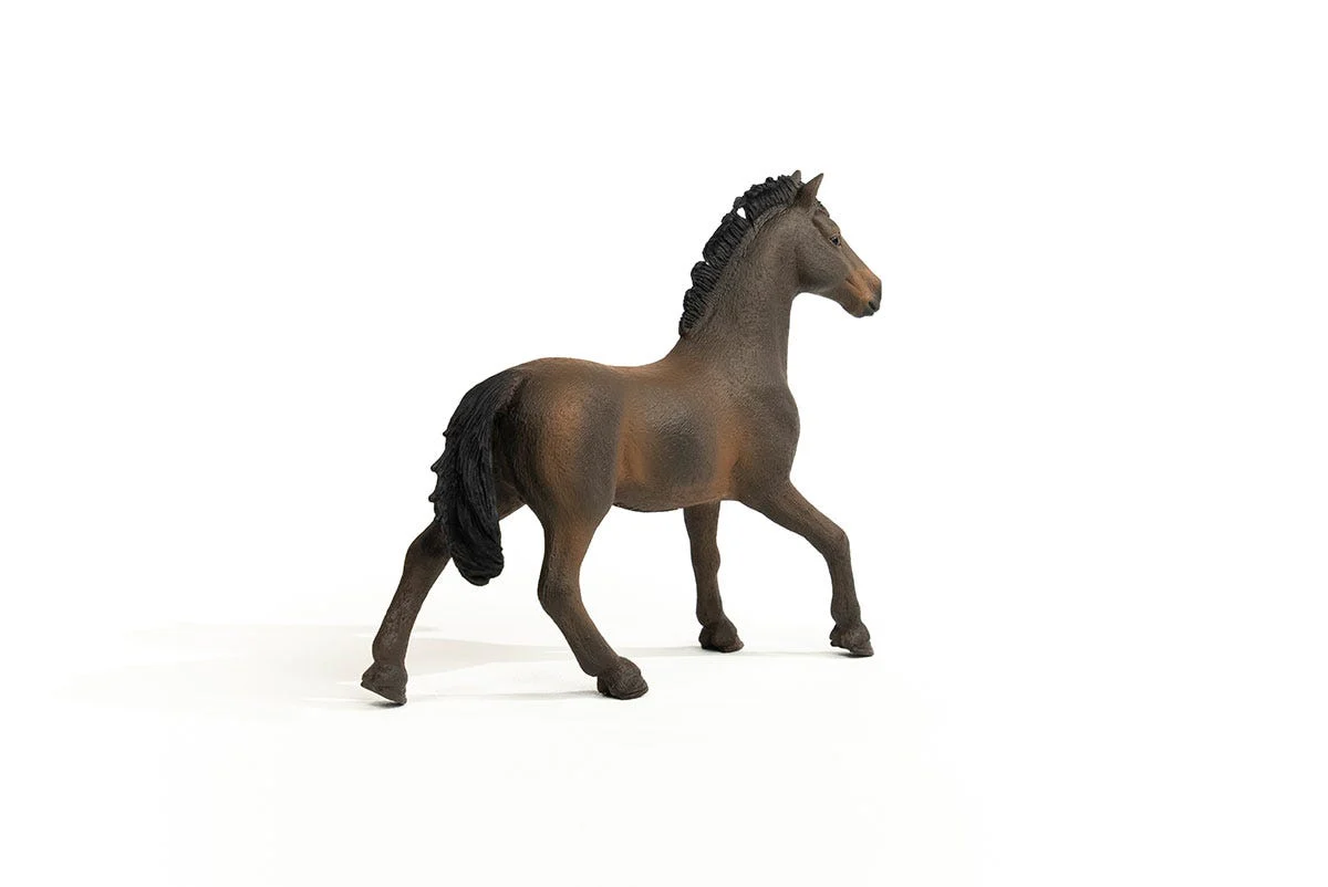 Oldenburger Stallion - Image 2
