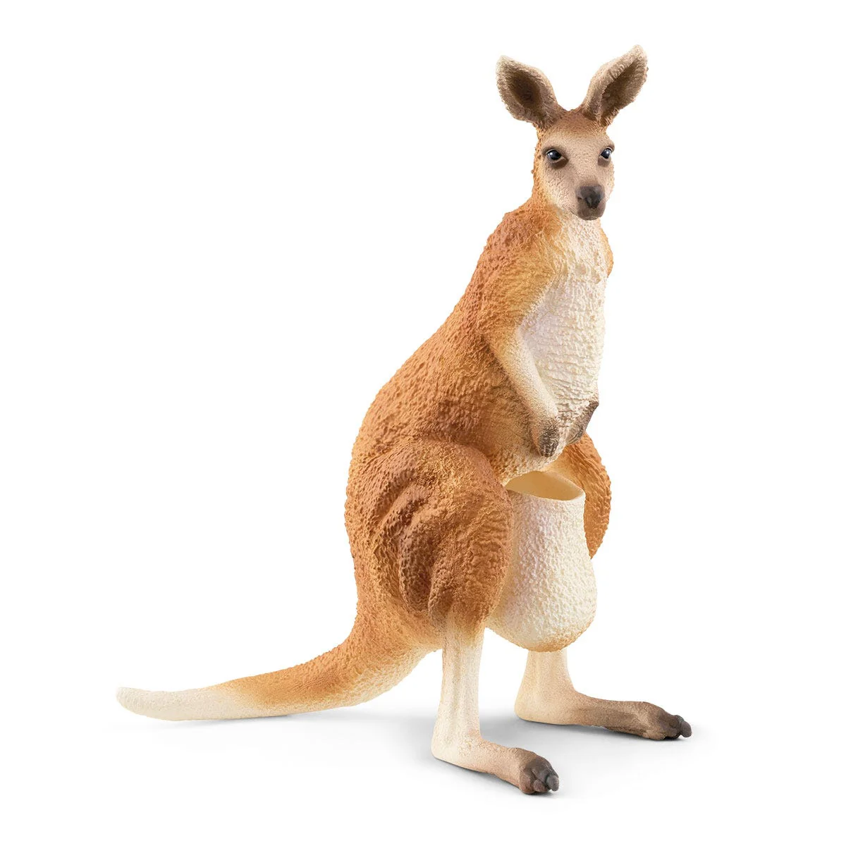 Outback Adventures - Image 13