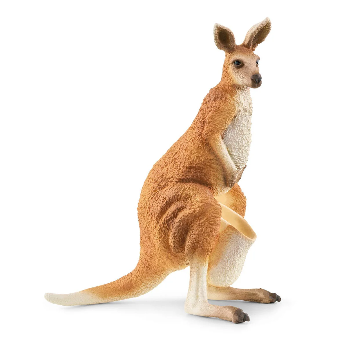 Outback Adventures - Image 5