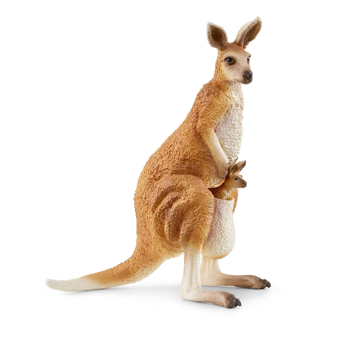 Outback Adventures - Image 8