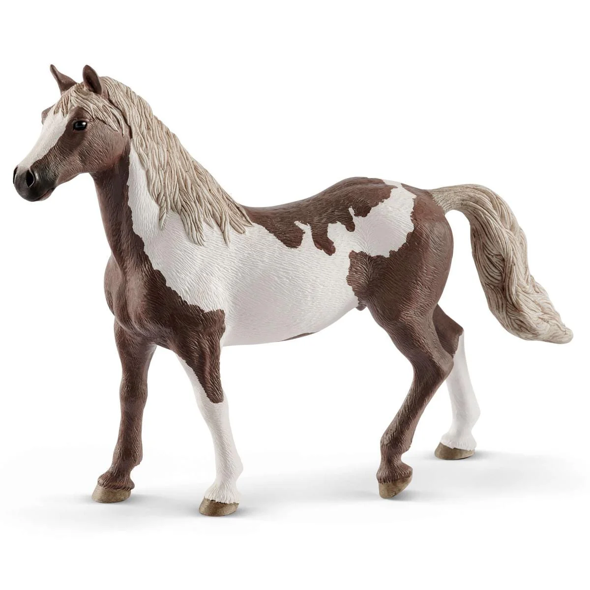 Paint horse gelding