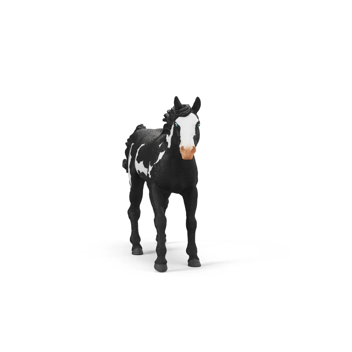 Paint Horse Gelding - Image 4