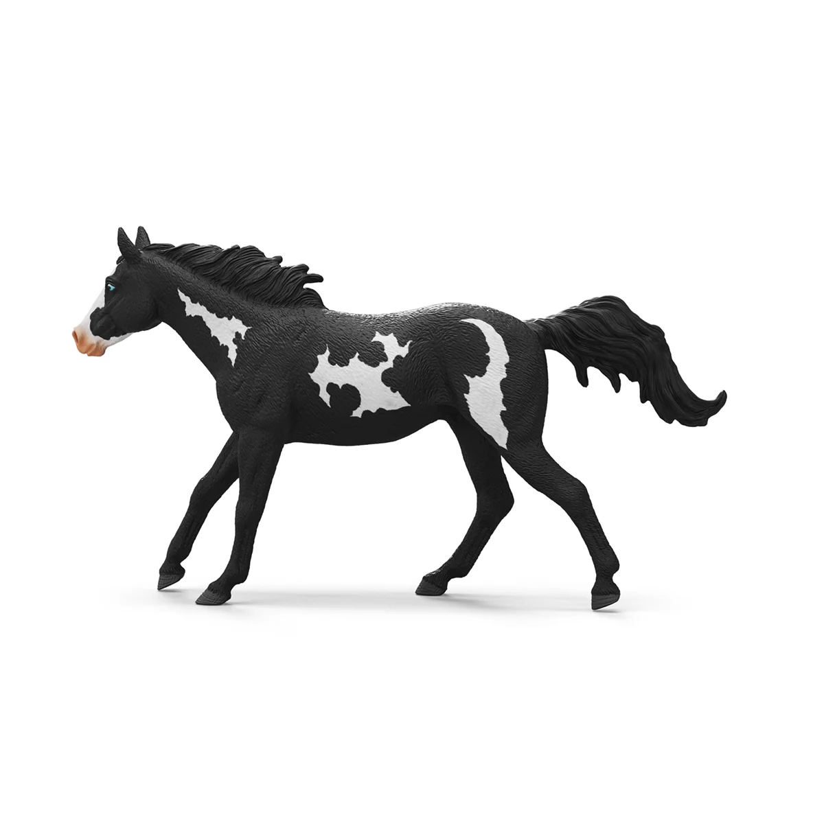 Paint Horse Gelding - Image 5