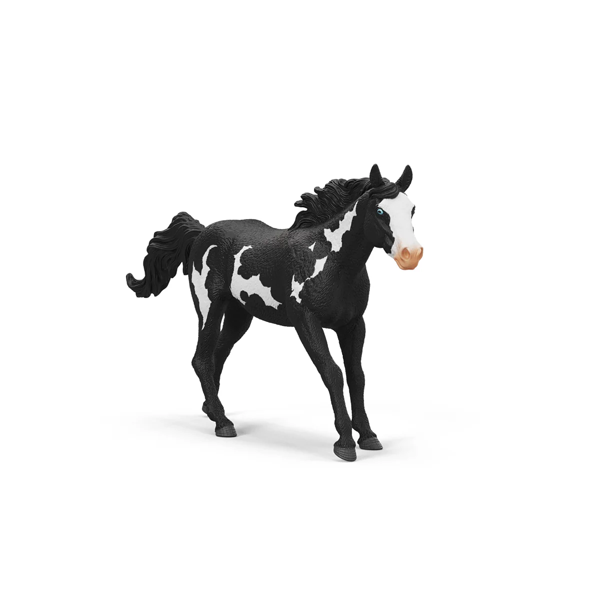 Paint Horse Gelding - Image 6