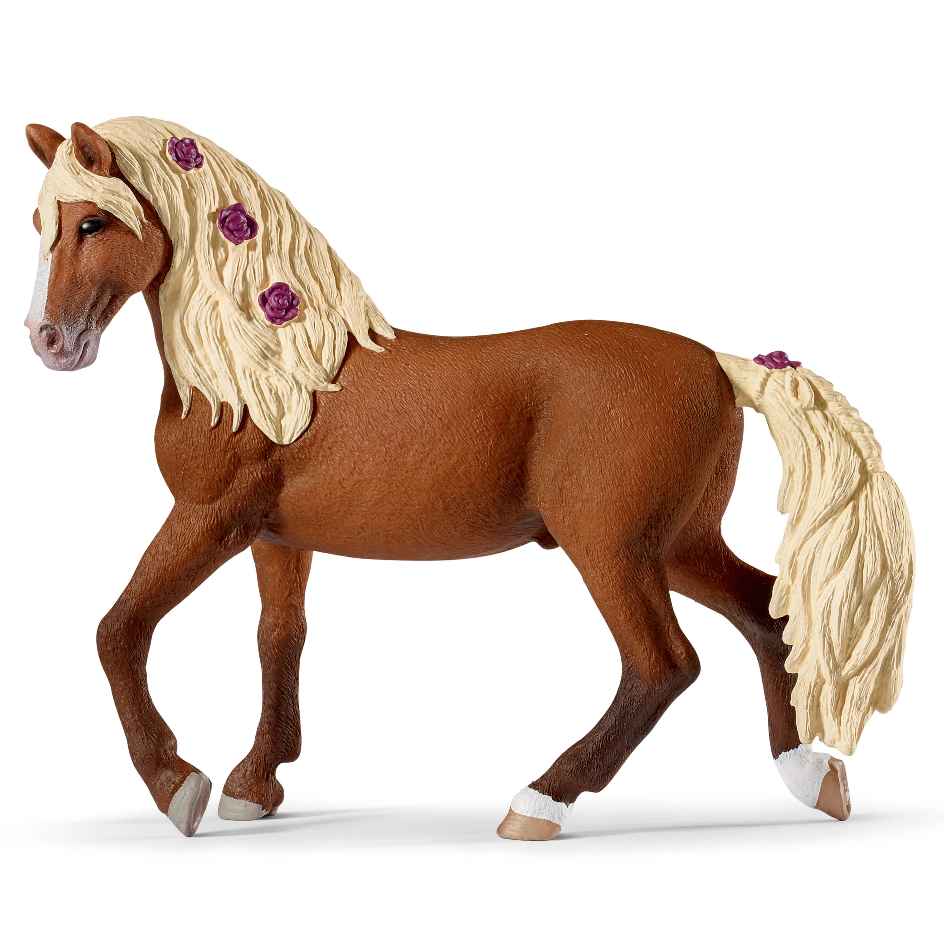 Paso Fino stallion horse show - Image 3