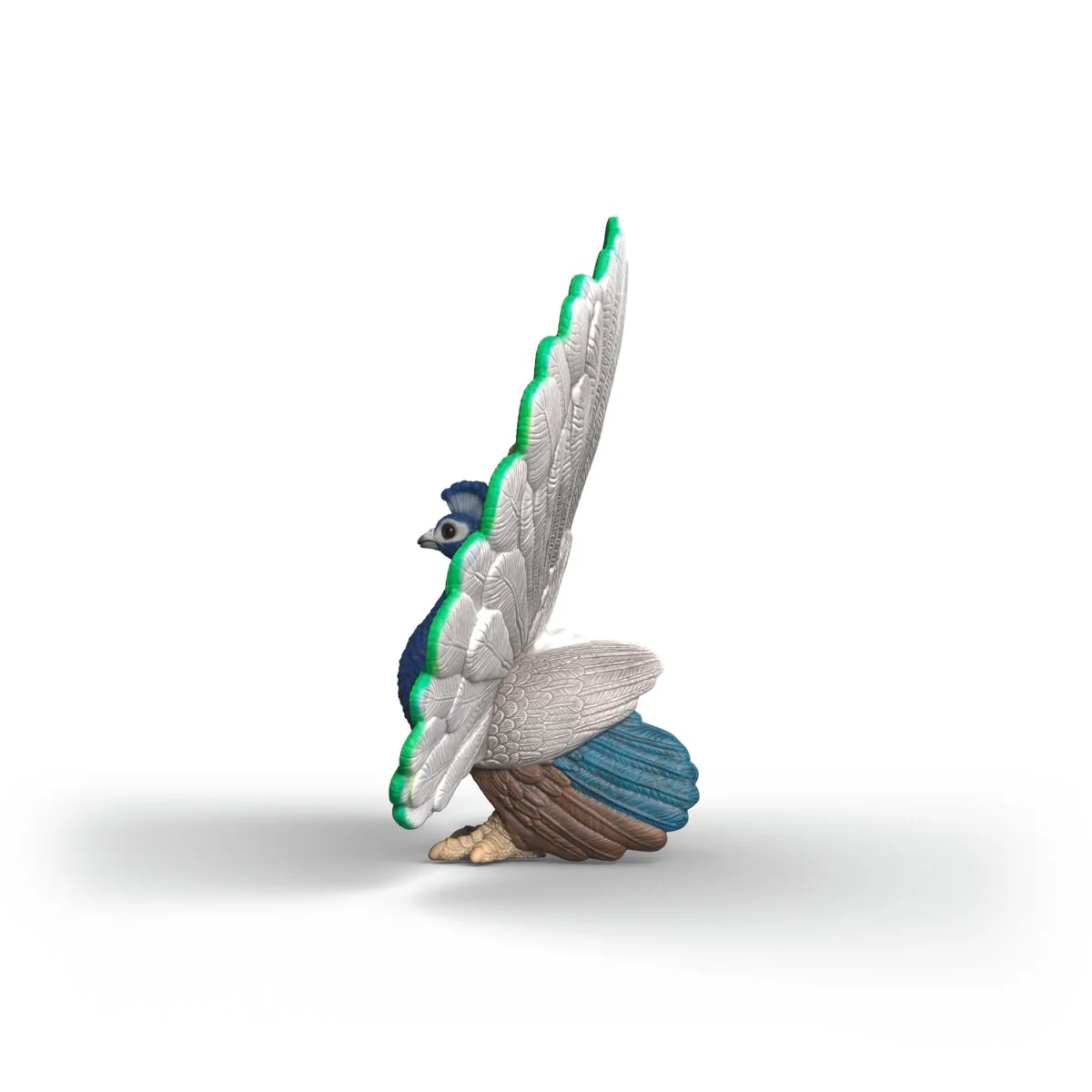 Peacock - Image 3