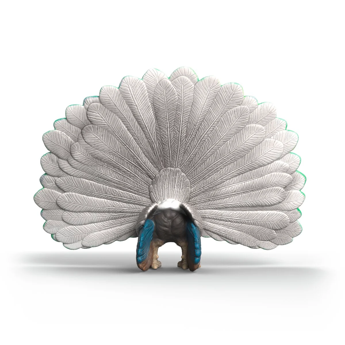 Peacock - Image 4