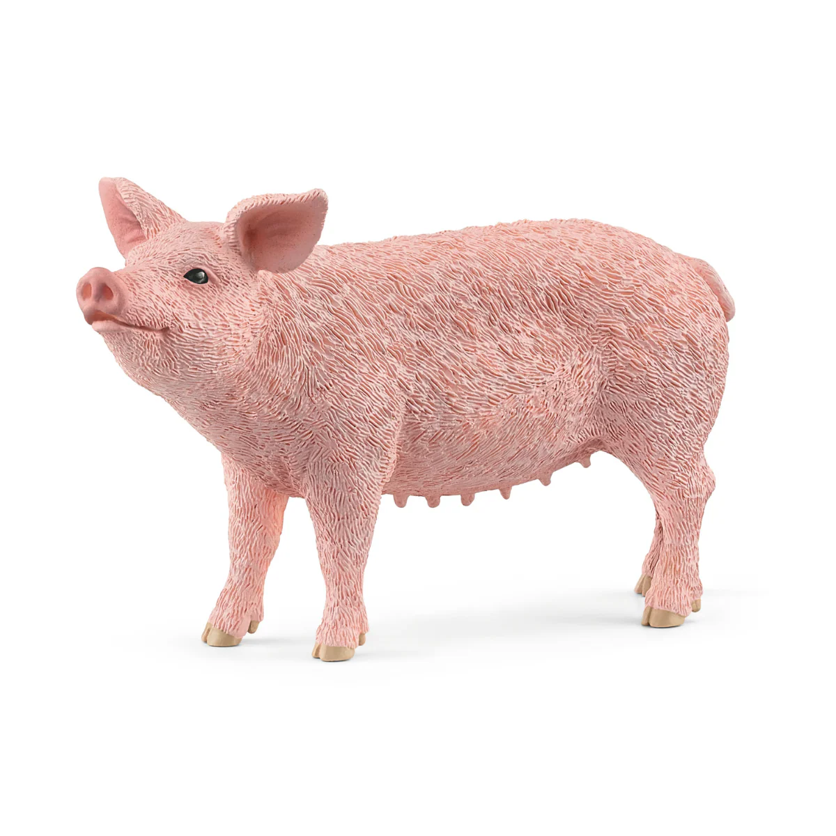 Pig (bundle)
