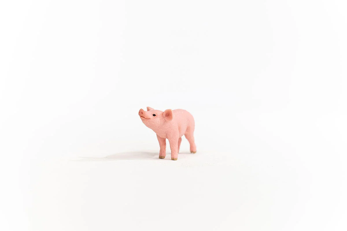 Piglet - Image 2