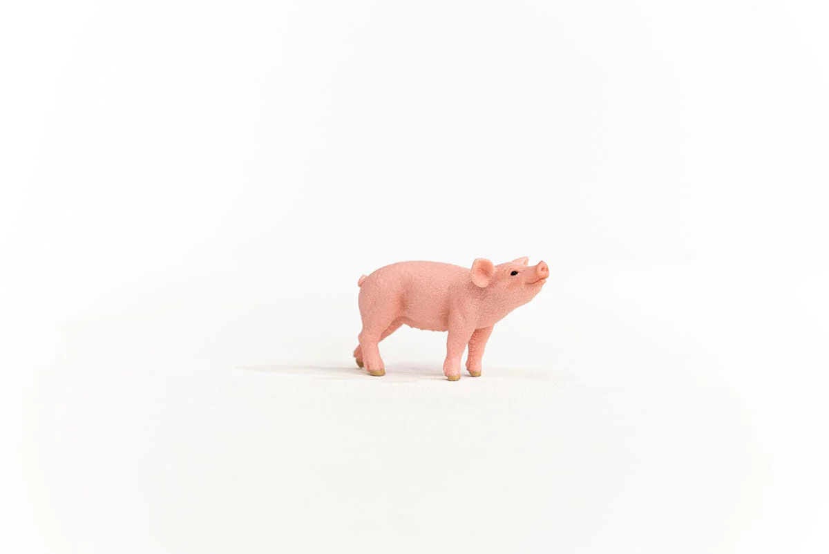 Piglet - Image 5