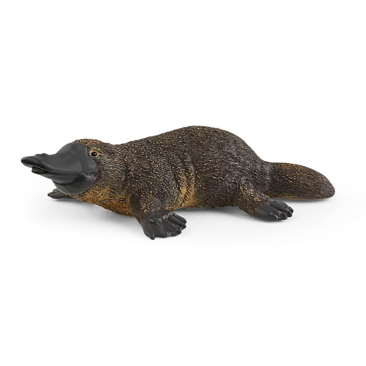 Platypus (bundle)