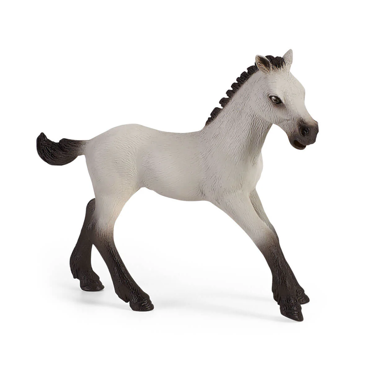 Playful foal - Image 3
