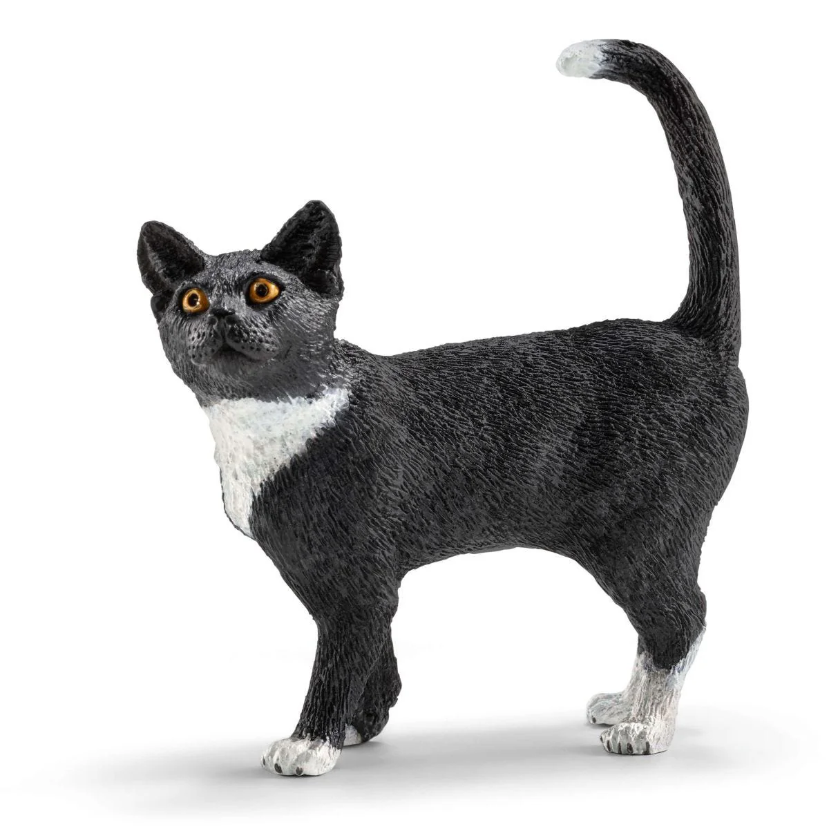 Playtime for cute cats - Image 5