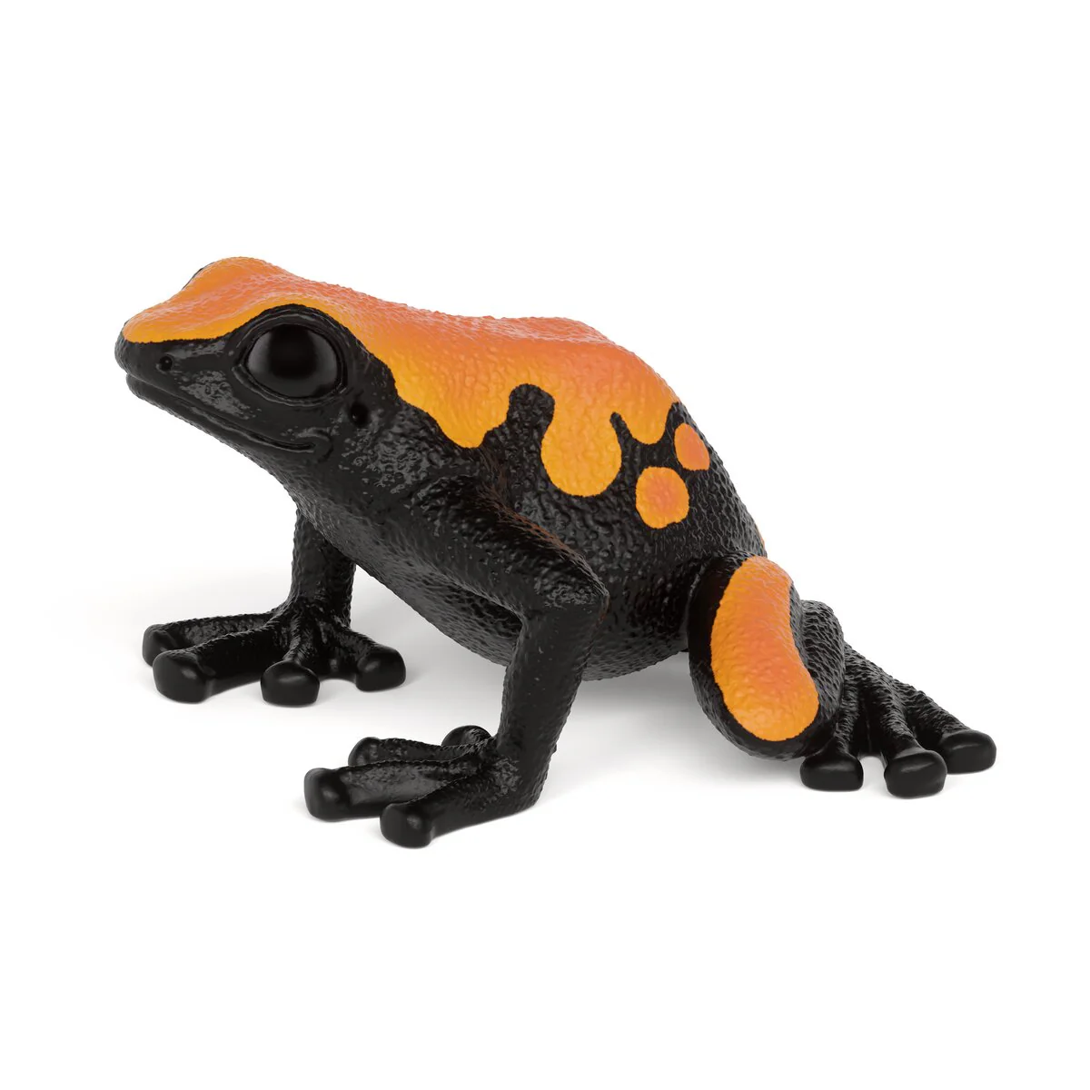 Poison Dart Frog (bundle)
