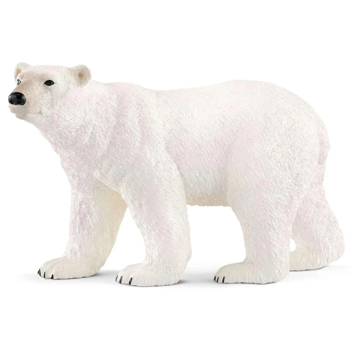 Polar bear (Bundle)