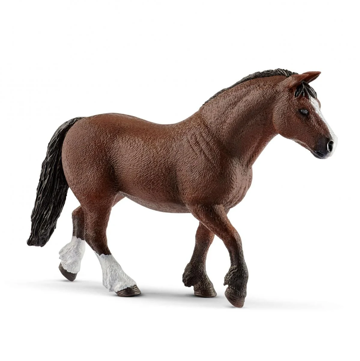 Pony agility race - Image 5