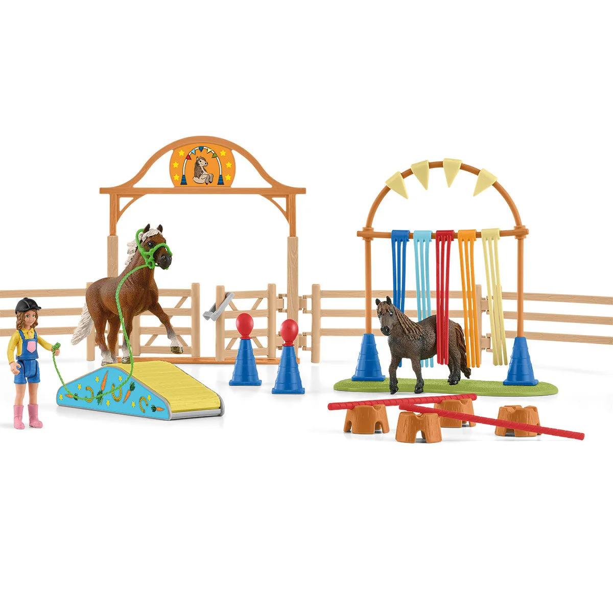 Pony agility training - Image 11