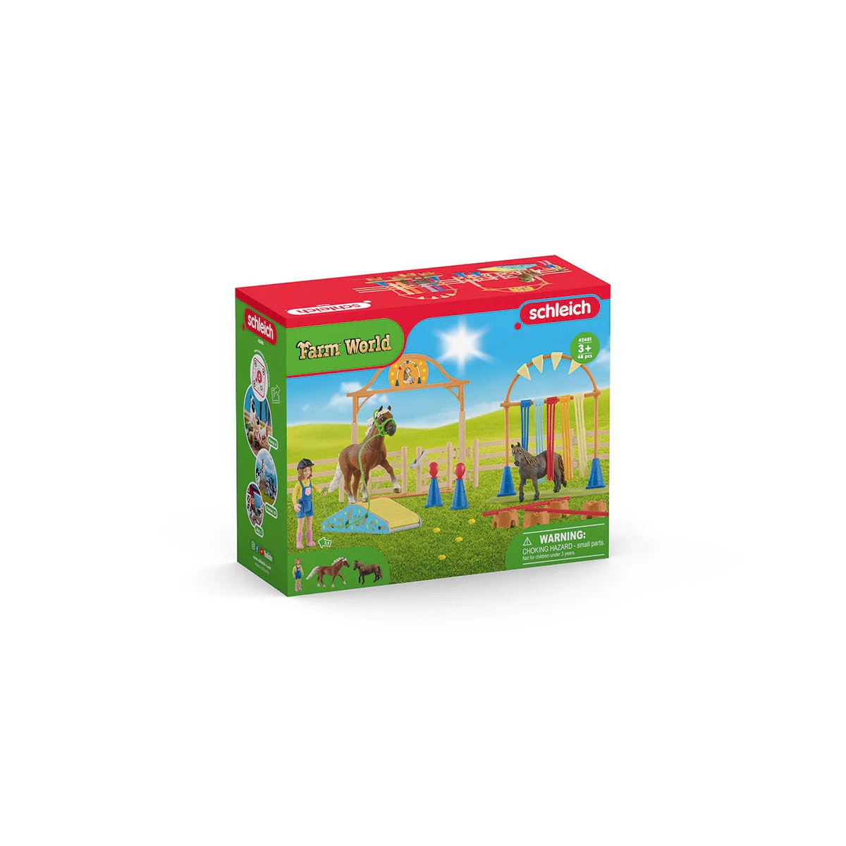 Pony agility training - Image 12