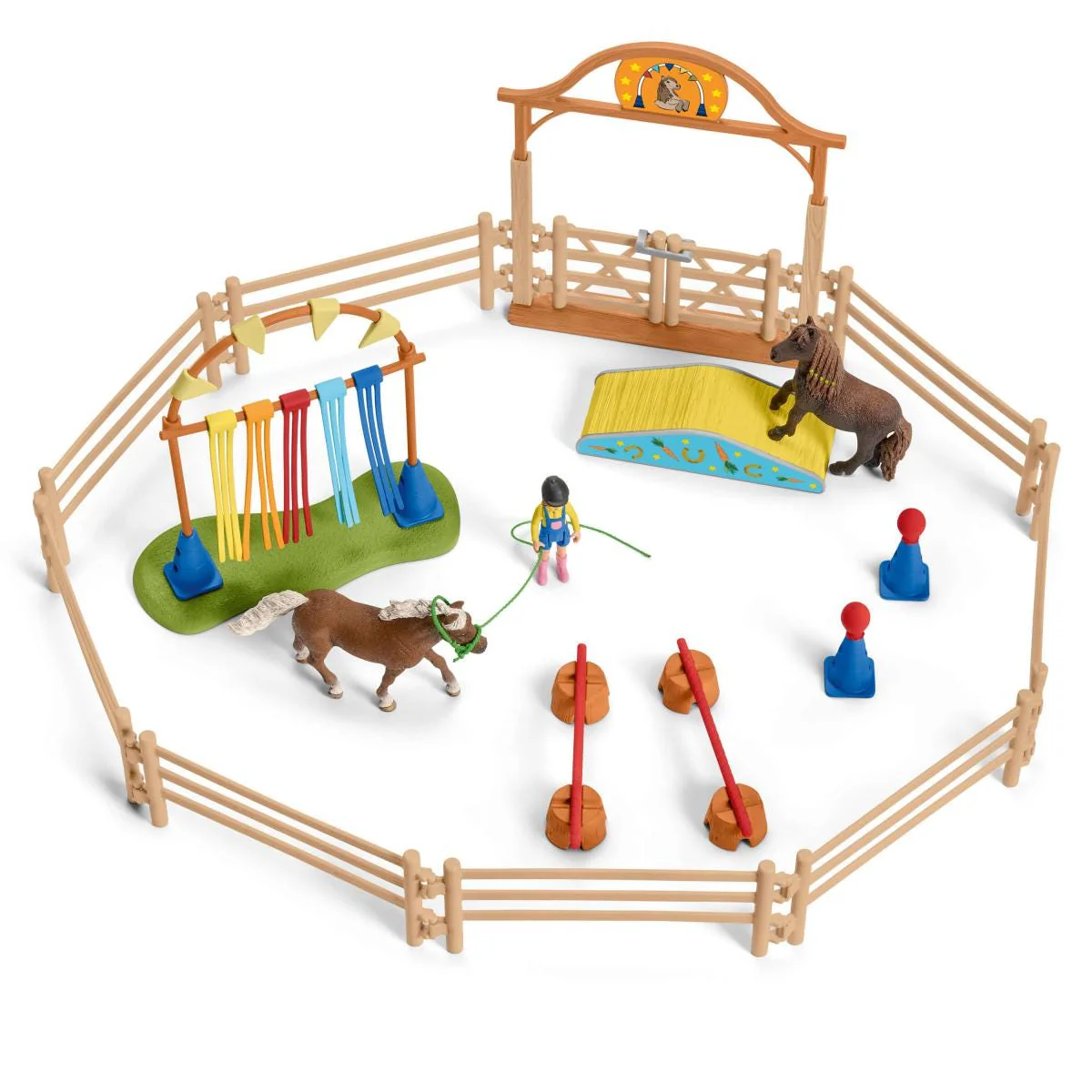 Pony agility training - Image 4
