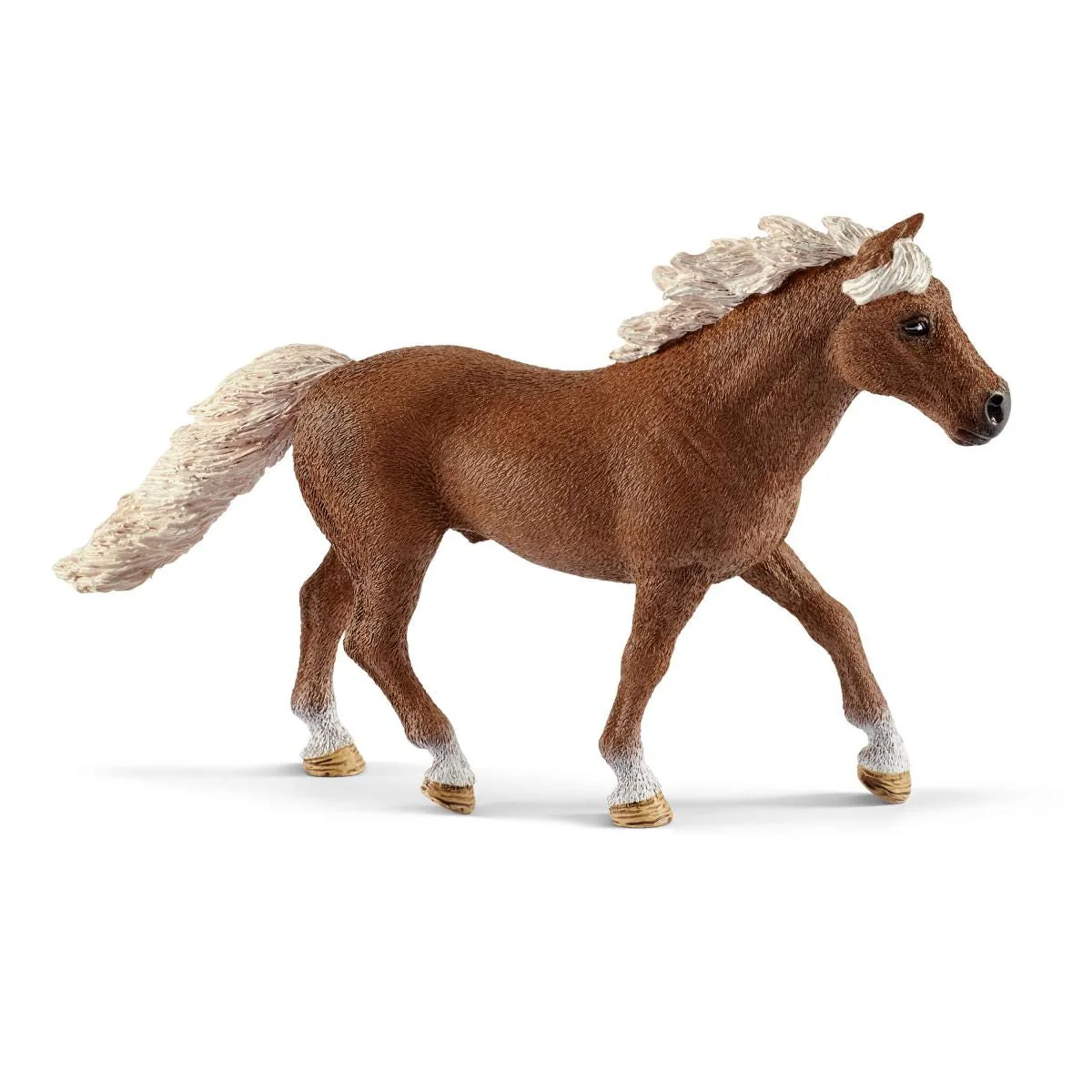 Pony agility training - Image 5