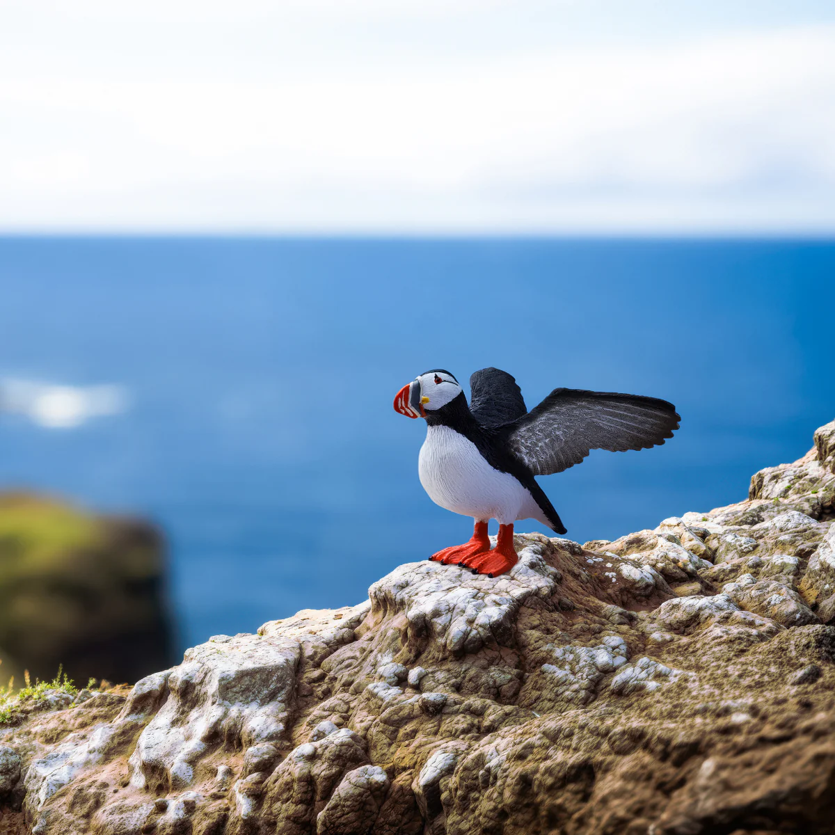 Puffin - Image 2